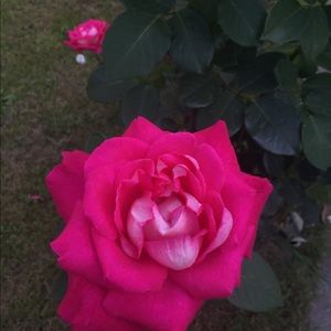 Meet your Posher, Gabriela